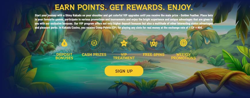 VIP-program